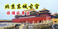 村妓户外野战黄色视频中国北京-东城古宫旅游风景区